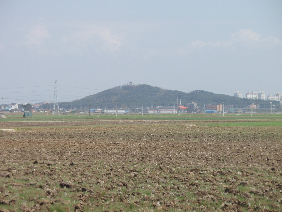 P4290020.JPG