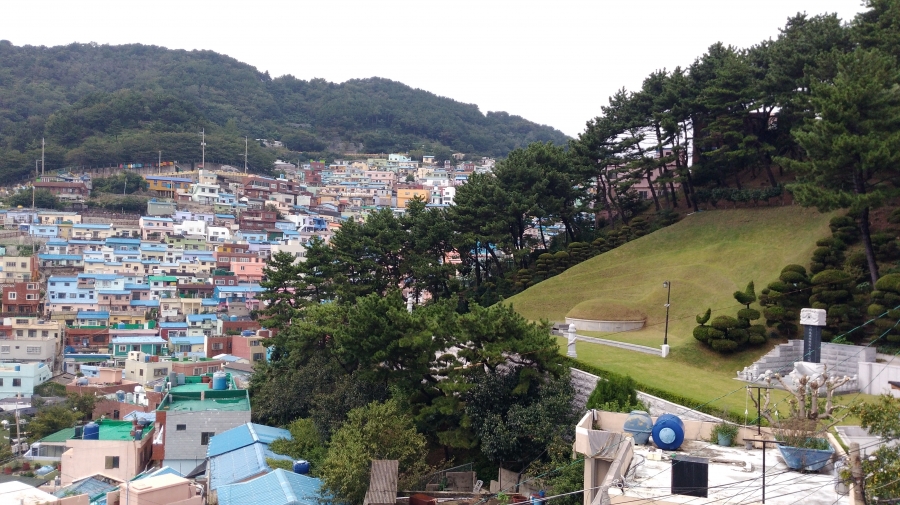 IMG_20180907_150406.jpg