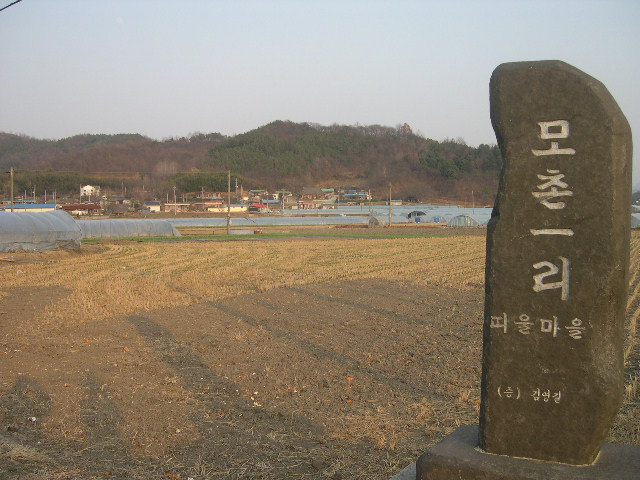 DSCN0098.JPG