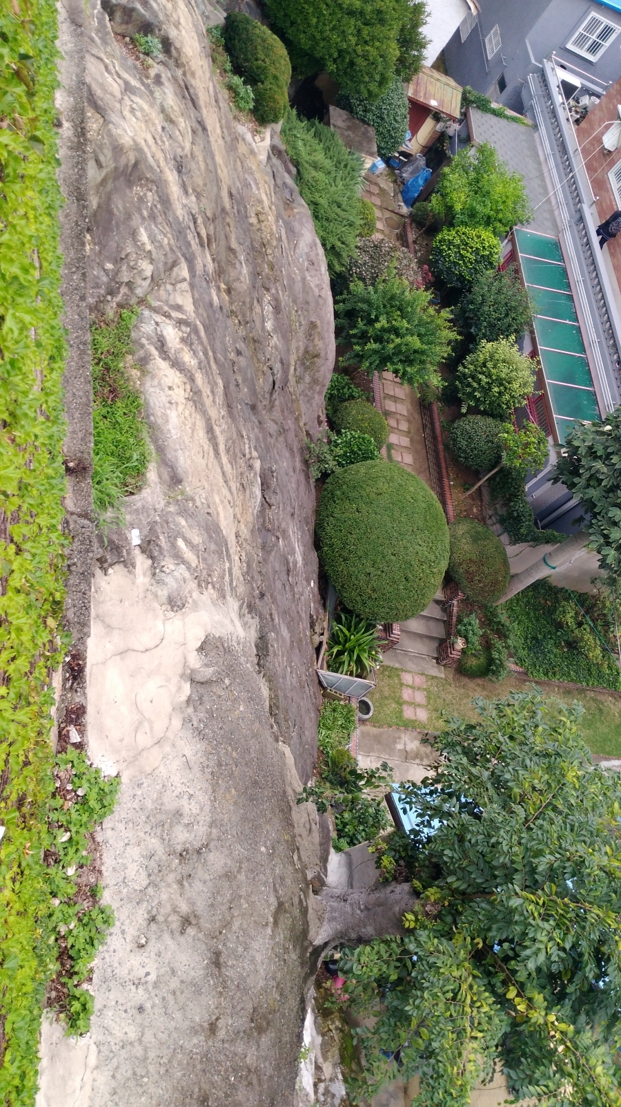 IMG_20180907_160509.jpg