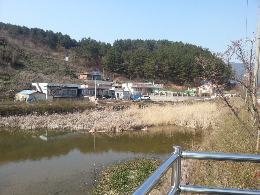 20160328_152308.jpg