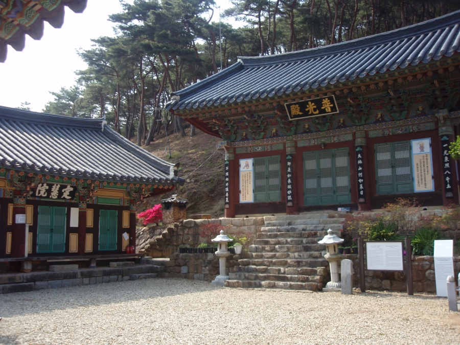 P4290060.JPG