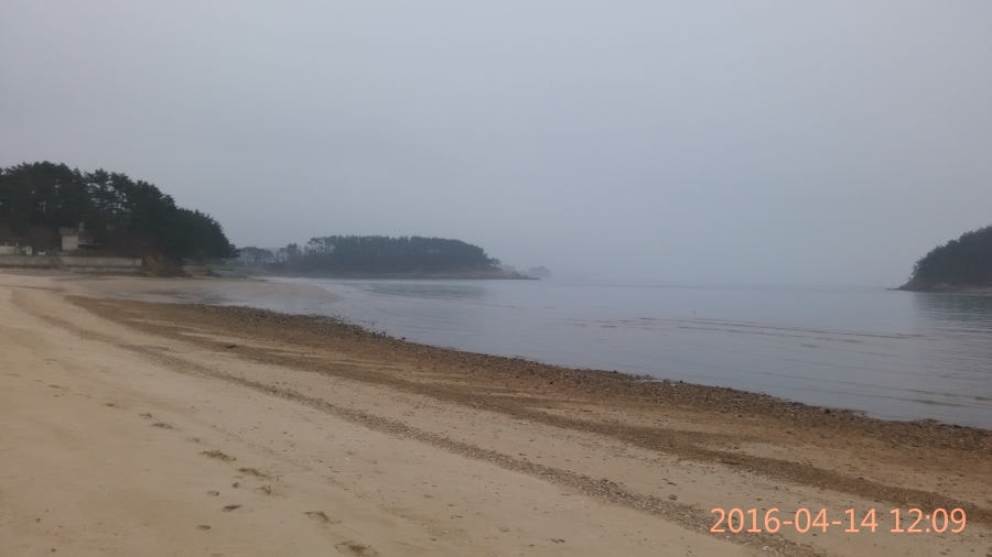 IMG_20160414_120906.jpg