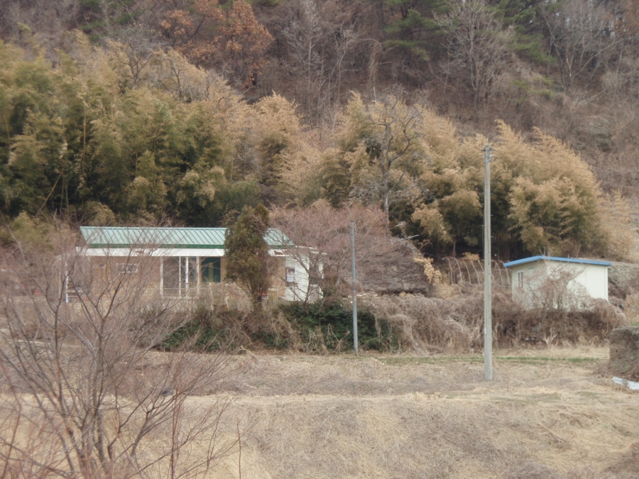 P3180562.JPG