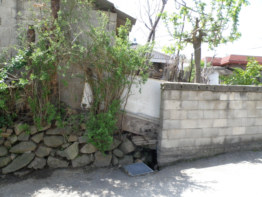 P1010225.JPG