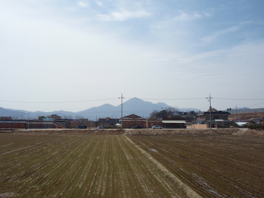 P3180485.JPG