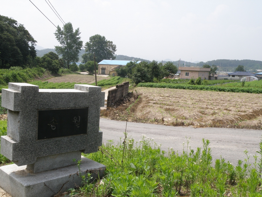 P7040201.JPG