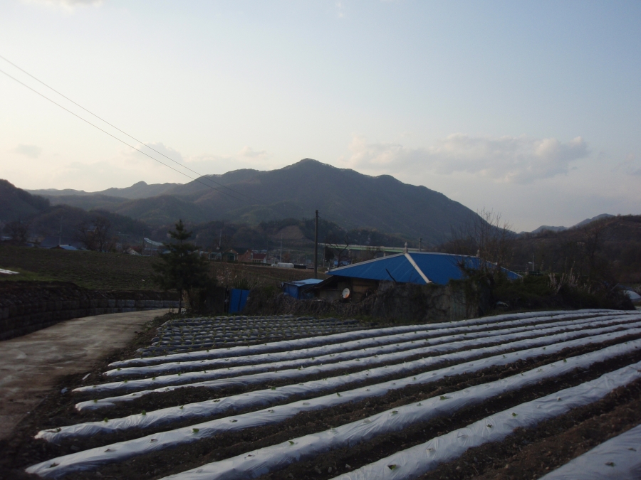 P4290087.JPG