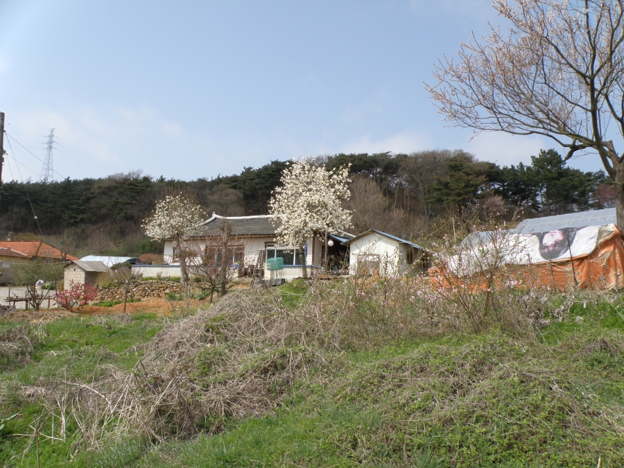 P1010072.JPG