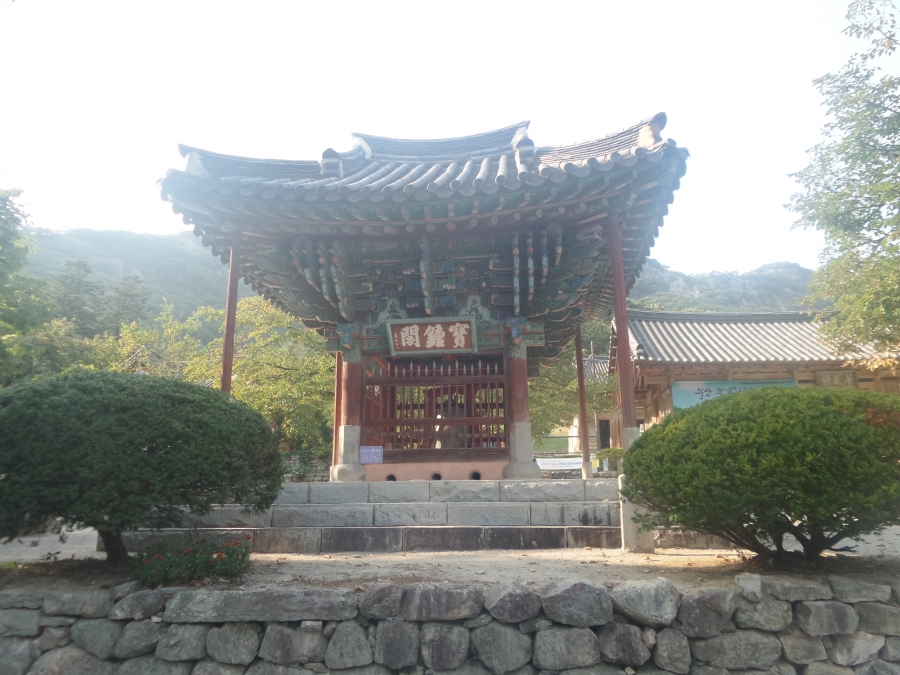 20160908_161413.jpg