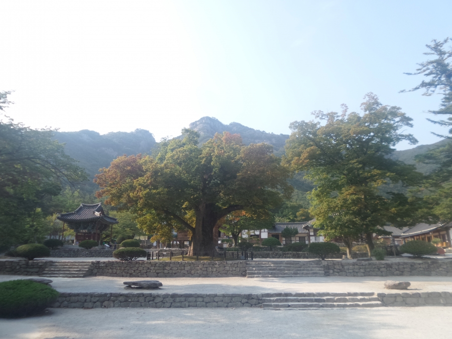 20160908_161238.jpg