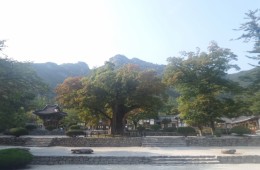  대한불교조계종 제24교구 본사 선운사(禪雲寺)의 말사이다. 633년(백제 무왕 34) 백제의 승려 혜구두타(惠丘頭陀)가 창건하여 처음에는 소래사(蘇來寺)라고 하였다. 창건 당시에는 대소래사와 소소래사가 있었는데, 지금 남아 있는 내소사는 소소래사이다. 1633년(조선 인조 11) 청민(淸旻)이 대웅전(大雄殿:보물 291)을 지었는데, 그 건축양식이 매우 정교하고 환상적이어서 가히 조선 중기 사찰건축의 대표적 작품이라 할 수 있다. 그 후 1865년(고종 2) 관해(觀海)가 중수하고 만허(萬虛)가 보수한 뒤, 1983년 혜산(慧山)이 중창하여 현재의 가람을 이루었다. 이 밖에도 고려동종(高麗銅鐘:보물 277), 영산회괘불탱(靈山會掛佛幀:보물 1268), 3층석탑(전북유형문화재 124), 설선당(說禪堂)과 요사(전북유형문화재 125) 등 여러 문화재가 있으며, 정문에는 실상사지(實相寺址)에서 이건(移建)한 연래루(蓮來樓)가 있다.