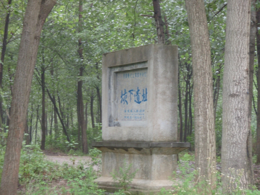 P7270259.JPG