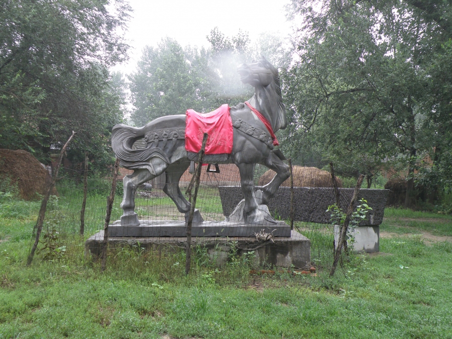 P7270357.JPG