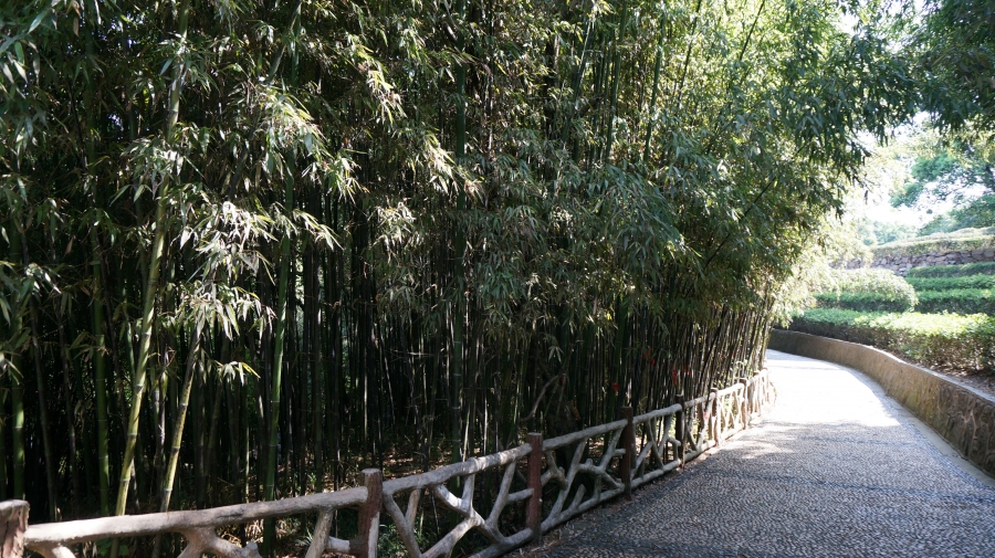 DSC09782.JPG