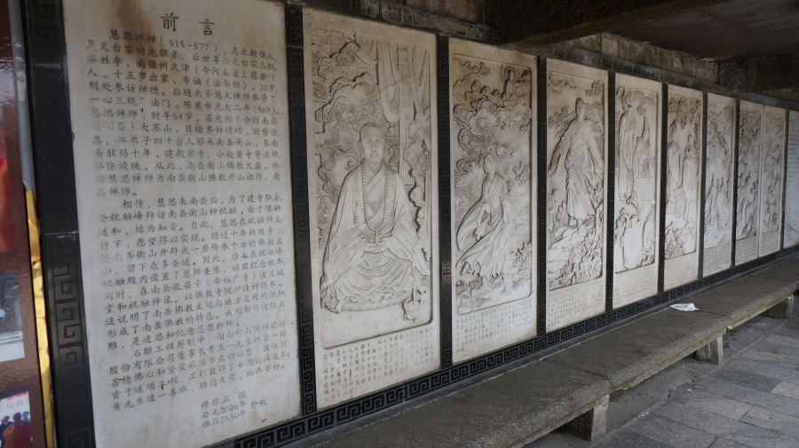 DSC09543.JPG