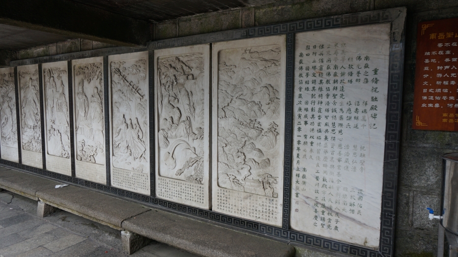 DSC09548.JPG