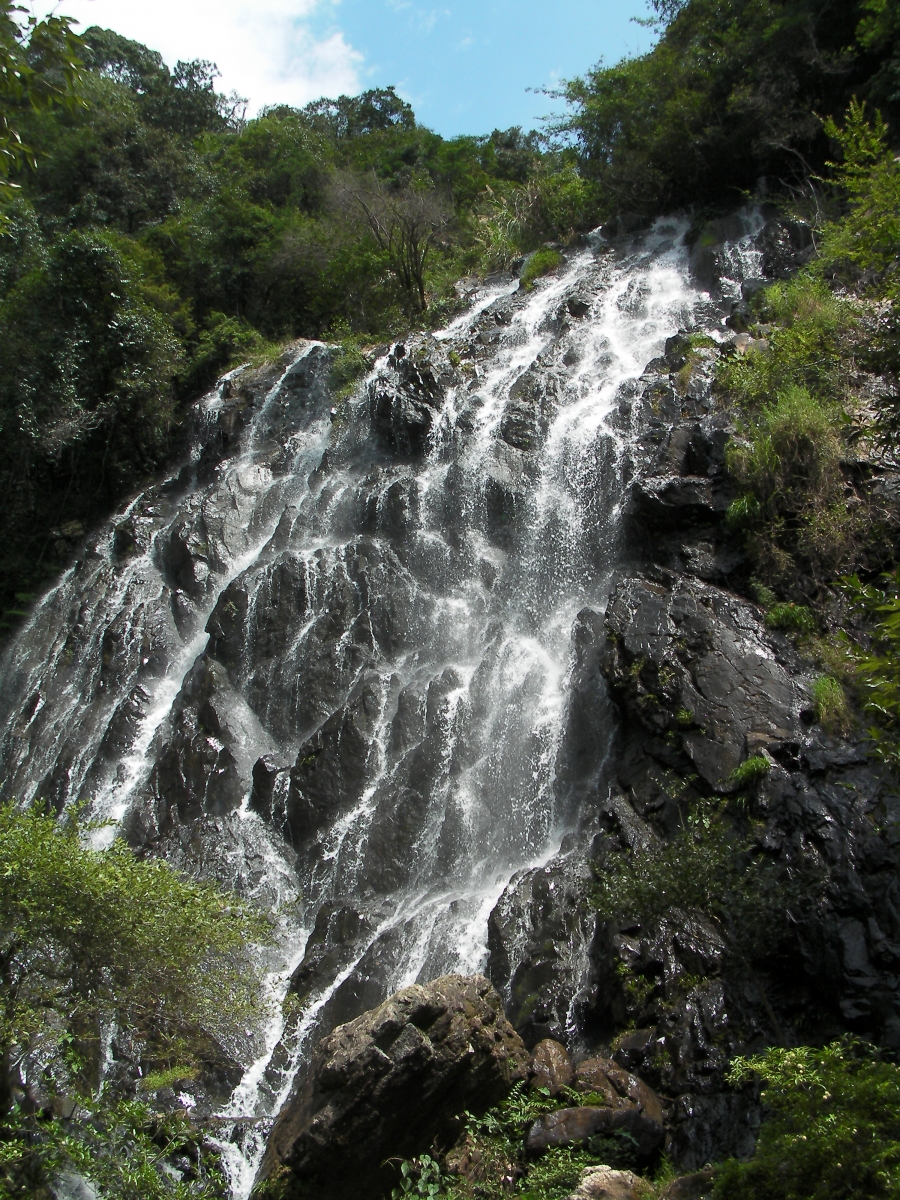 SANY0268.JPG