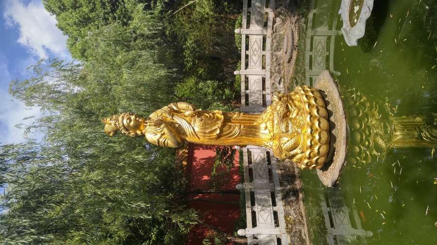 20170808_102053_HDR.jpg