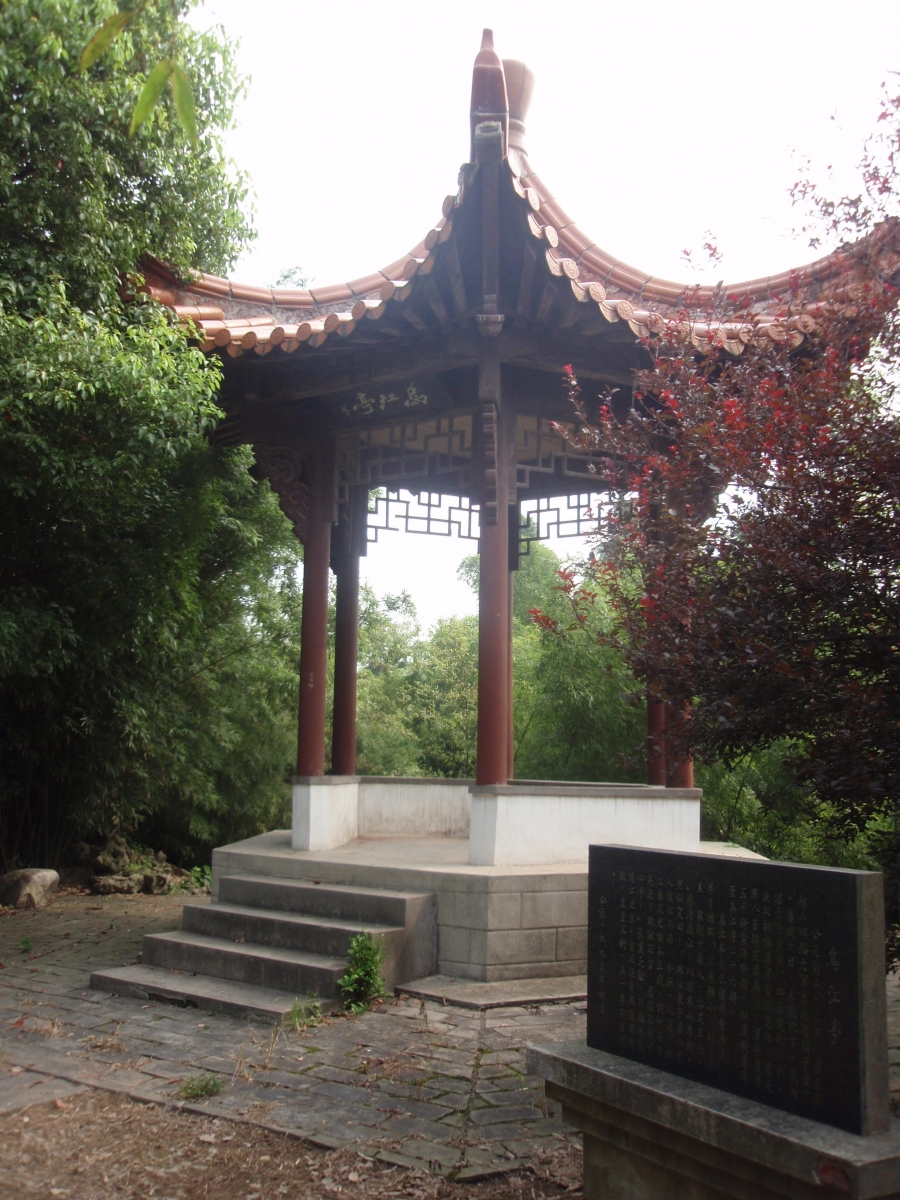 P7260130.JPG