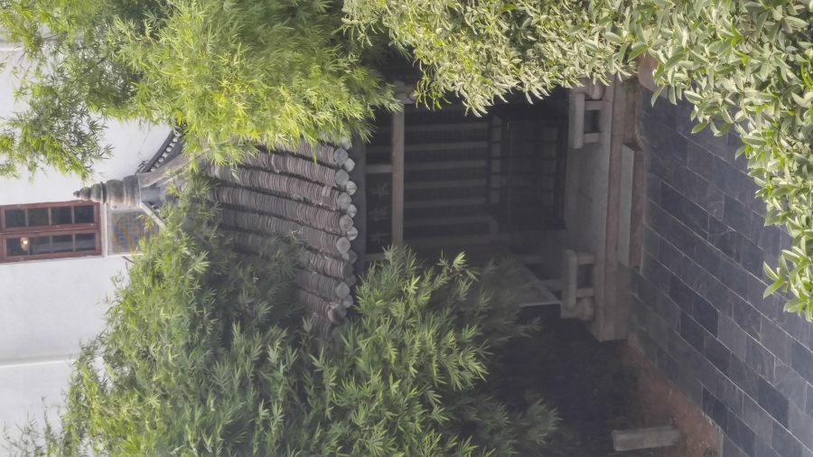 20170808_165526_HDR.jpg