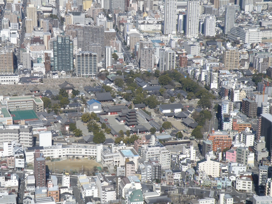 P1120244.JPG
