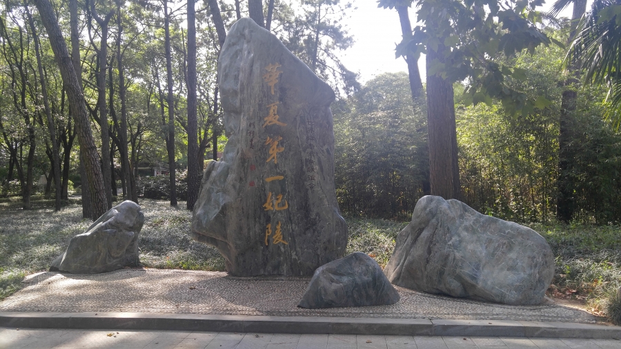 20170809_154021_HDR.jpg