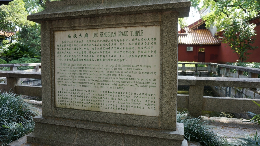 DSC09582.JPG