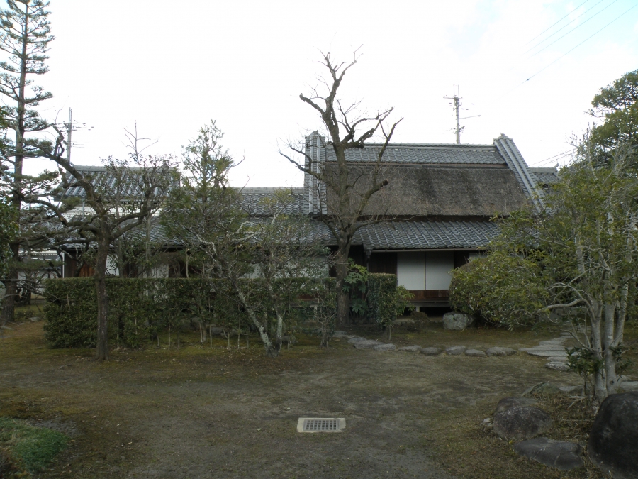 P1130082.JPG