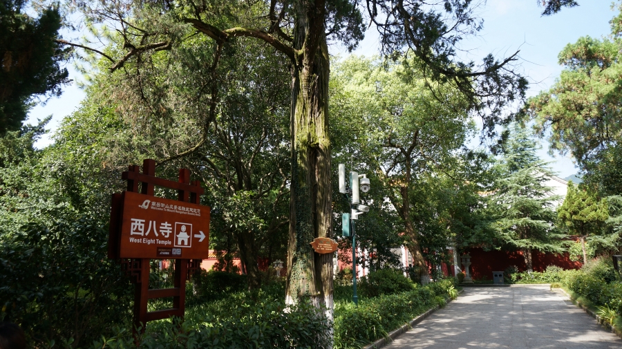 DSC09587.JPG