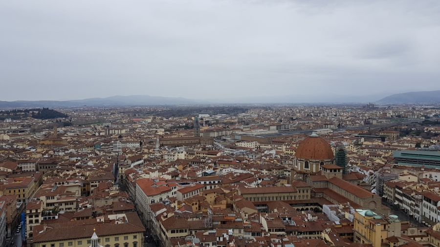 20180305_145626.jpg