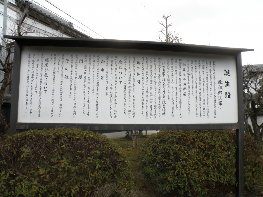P1130080.JPG