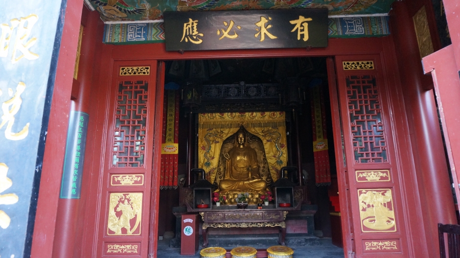 DSC09812.JPG