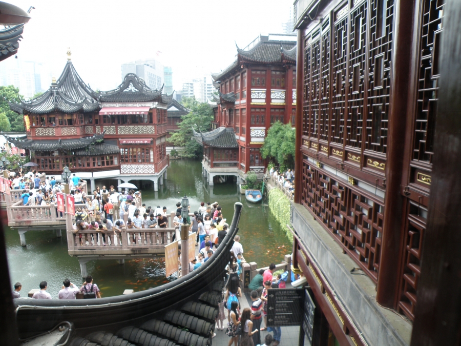 P1010877.JPG